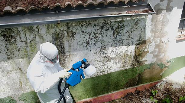 Trusted Bathroom Mold Removal service in Canton, NC - Cheap Mold Removal